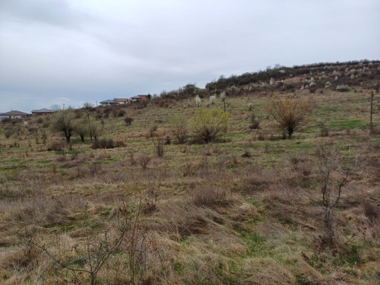 Teren 2175 mp in Reghin, Str. Viilor, nr. FN, jud. Mureș