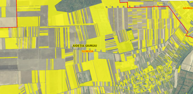 Cota de 1/4 din teren agricol situat în Loc. Slobozia, Jud. Giurgiu, in suprafata totala de 10.000 mp