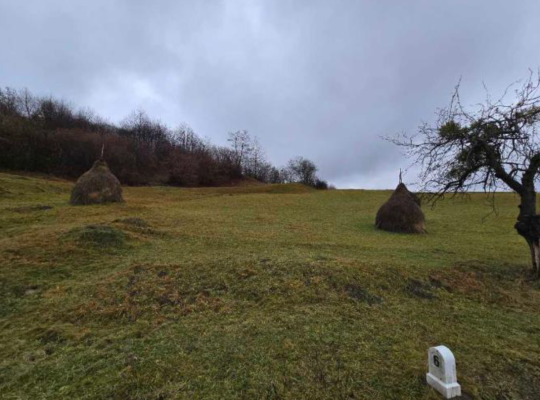 Teren extravilan 13781 mp in Breb, jud. Maramures
