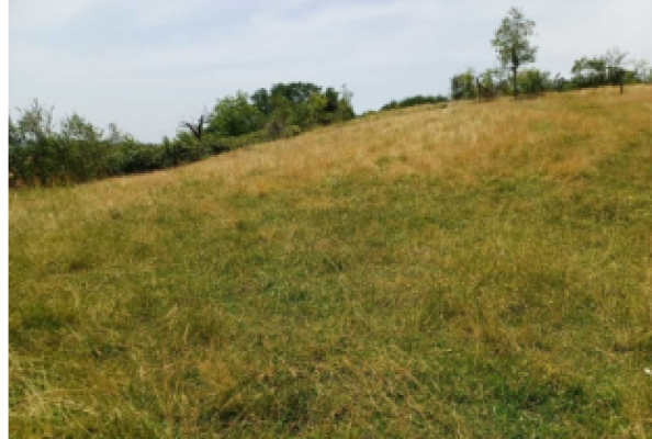Teren intravilan com. Criciova, jud. Timis