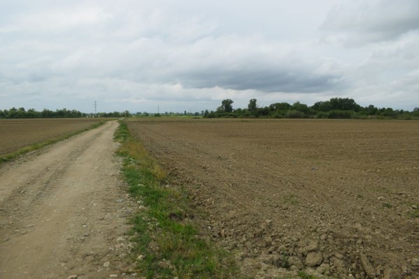 Teren extravilan arabil, 5.800 mp, Comuna Criciova, județul Timiș