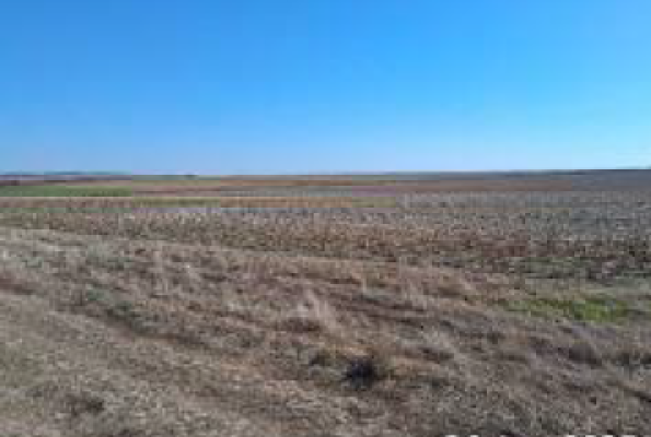 Cota de 1/6 din teren extravilan com. Chirnogeni, jud. Constanta 6389464