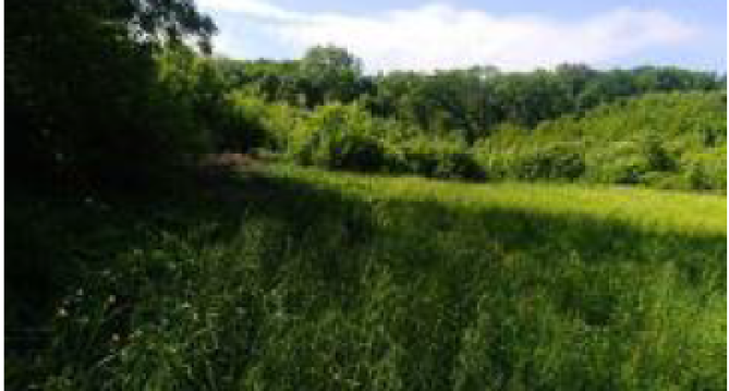 Cota 1/2 teren 7400 mp extravilan, Comuna Pomârla, jud. Botoșani
