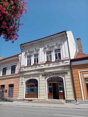 Spatiu comercial 201.5 mp in Mun Sf Gheorghe, str 1 Decembrie 1918, nr. 9, ap. I , jud. Covasna