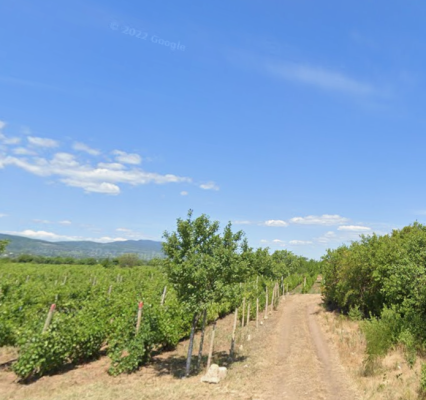 Teren extravilan vie, Odobești, județul Vrancea 7112299