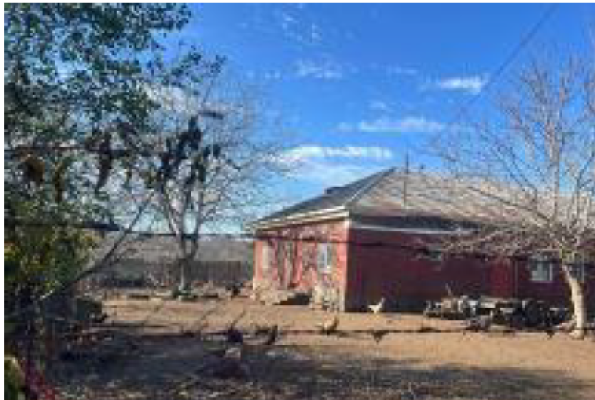 Casa cu teren com. Frumoasa, jud. Teleorman 5514702