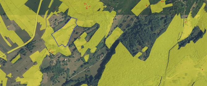 Teren intravilan 18.882 mp (cota ¾ din ½), Bratca – Sat Damiș, Bihor