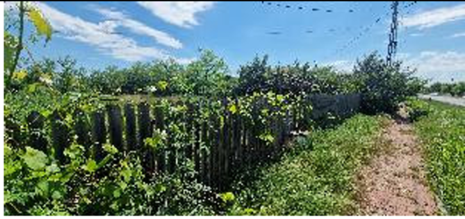 Teren intravilan, Comuna Boldu, județul Buzău 6580879