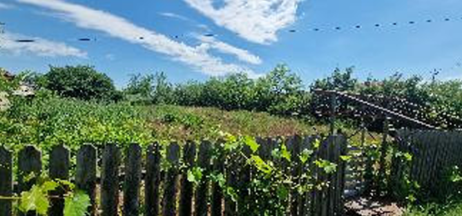 Teren intravilan, Comuna Boldu, județul Buzău 6580879
