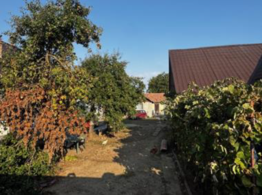 Cotă de 3/16 din casă de locuit și teren, Sângeorgiu de Mureș, str. Salcamilor, județul Mureș