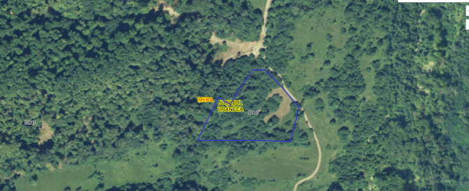 Teren extravilan faneata, com. Mera, jud. Vrancea 5978358