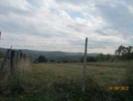 Teren agricol intravilan, Loc.Bogata, Com. Baia, Jud. Suceava