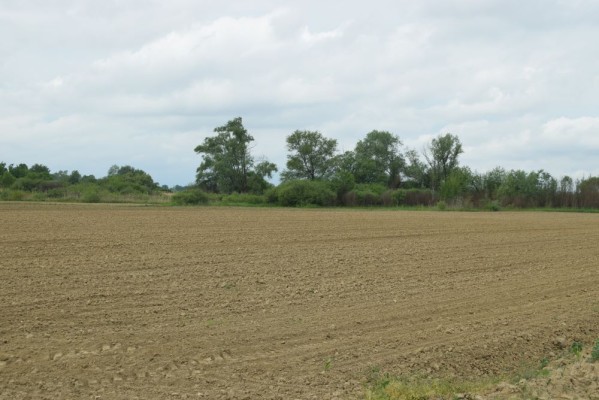 Teren extravilan arabil, 5.800 mp, Comuna Criciova, județul Timiș
