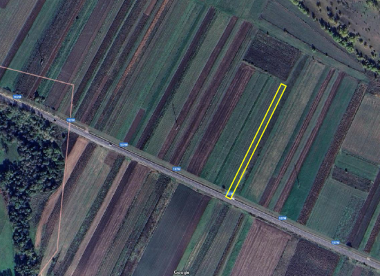 Teren extravilan agricol in Baisoara, jud. Cluj