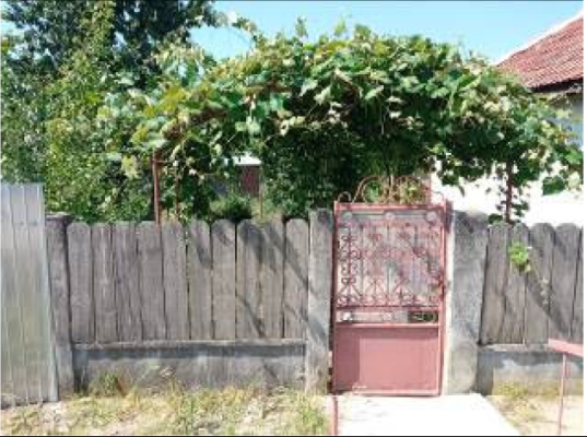 casa tip parter, Com. Bălăcița, Sat Dobra