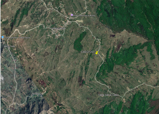 Teren extravilan, Pasune, 1209mp, Valea Salciei, judetul Buzau-6114775