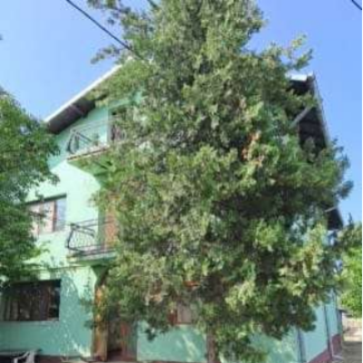 Casa P+1 cu teren Valea Voievozilor, Dambovita