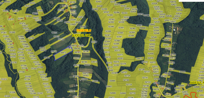 Teren extravilan 16.400 mp, Comuna Fagetelul, jud. Olt