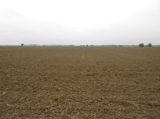 Teren intravilan-agricol, Cornetu, Ilfov