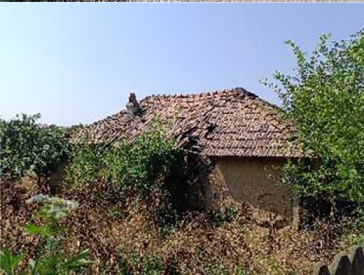Casa si teren, strada Salcamului, loc. Seaca, judetul Olt