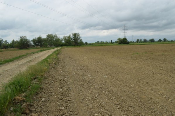 Teren extravilan arabil, 5.800 mp, Comuna Criciova, județul Timiș