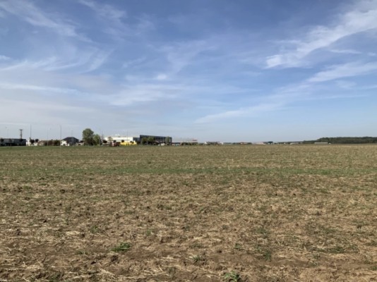 Teren intravilan Branesti 164.514 mp