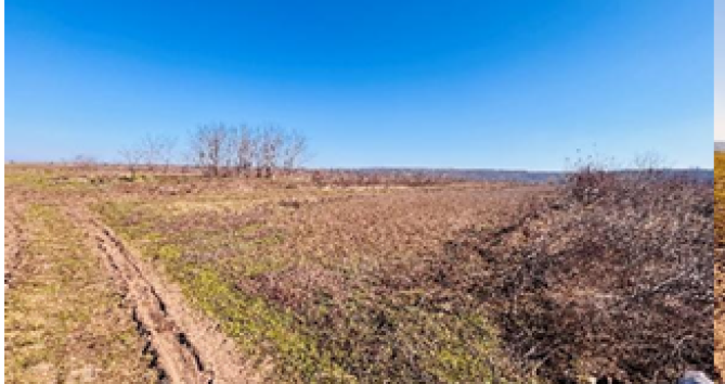 Teren extravilan arabil –Loc. Albești, Jud. Vaslui