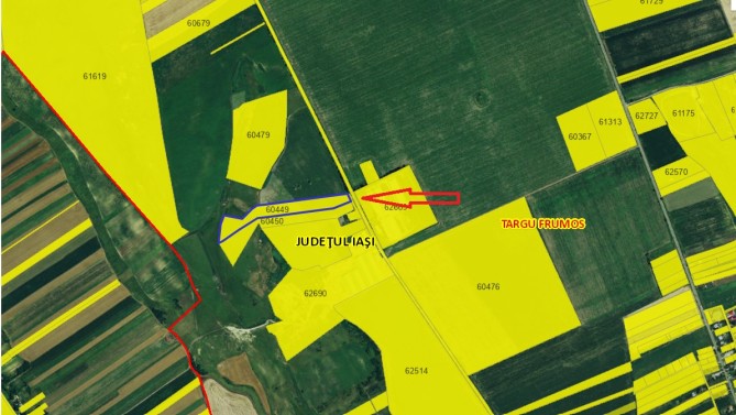 Teren agricol intravilan 4Ha, Loc. Targu Frumos, Jud. Iasi