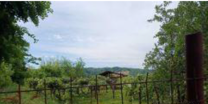 Teren intravilan com. Manastirea Casin, jud. Bacau 5949083