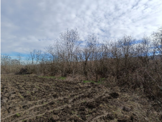 Teren intravilan curti constructii suprafata 250mp in Butoiesti, Jud. Mehedinti