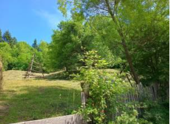 Teren intravilan com. Valea Doftanei, jud. Prahova 5788847