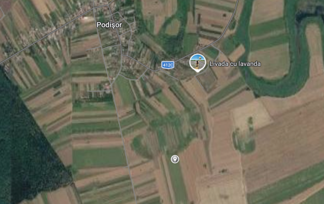 Patru terenuri agricole extravilane – comuna Bucșani, județul Giurgiu