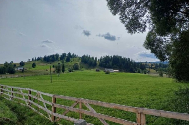 Cota de 3/16 din teren agricol extravilan in Bilbor, jud. HR