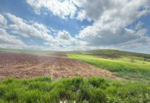 Cote indivize din teren extravilan agricol 8.000 m², Valea Teilor, județul Tulcea 6524897