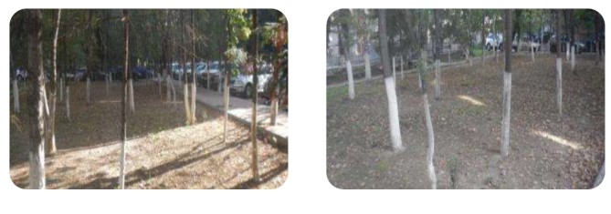 Teren intravilan 533 mp - Bucuresti, B-dul Mircea Voda nr.35C