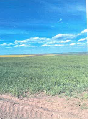 Teren extravilan – agricol, Loc.Murgeni, Județul Vaslui