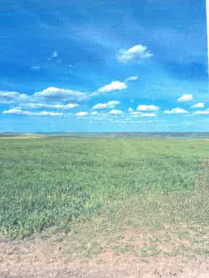 Teren extravilan – agricol, Loc.Murgeni, Județul Vaslui