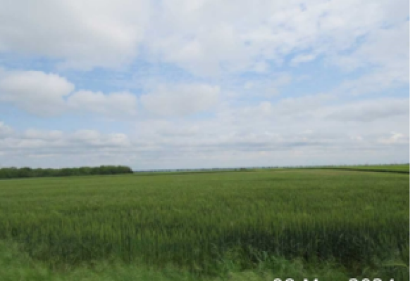 Cota 1/4 din teren agricol extravilan, Loc. Slobozia, Jud. Giurgiu