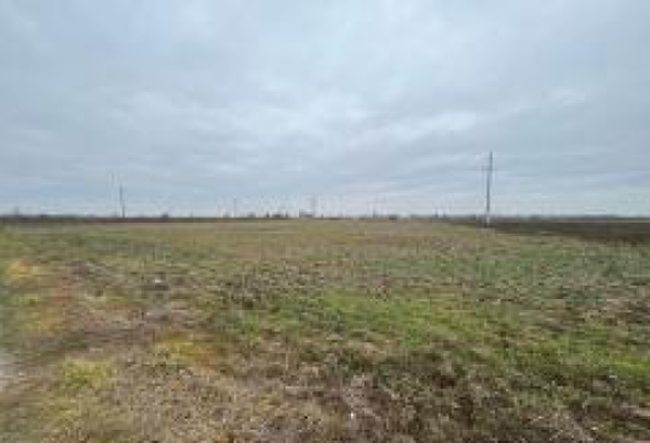 Teren extravilan 2.500 mp – Vărăști, Jud. Giurgiu