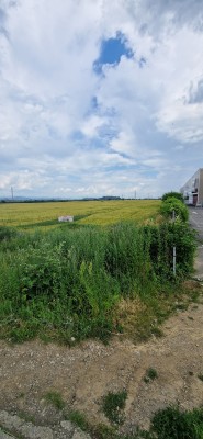 Teren intravilan in 5.800 mp situat in Brasov