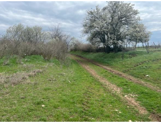 Teren agricol extravilan 1222 mp, Calmatuiu de Sus