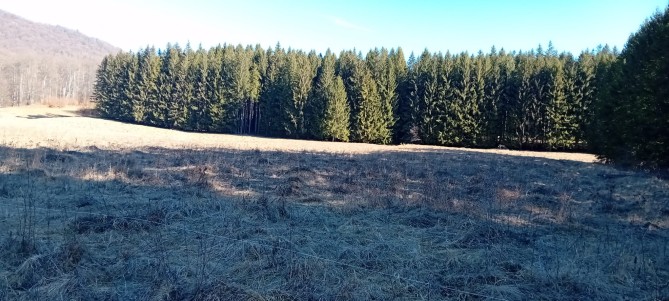 Teren intravilan, Maneciu, sat Cheia, judetul Prahova
