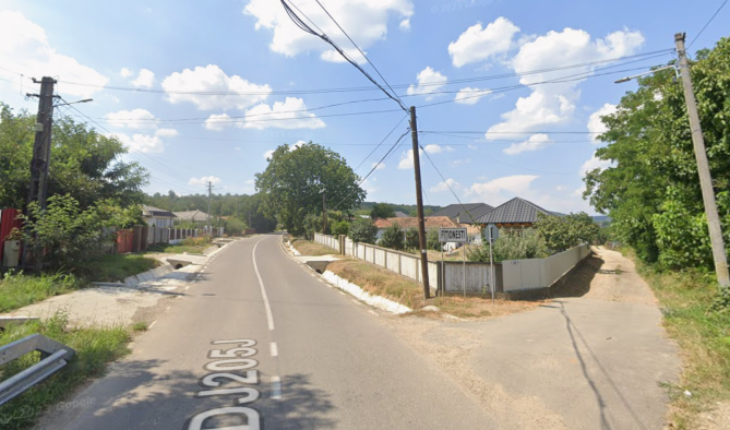 Teren extravilan (vie) - Comuna Fitionești, județul Vrancea 6743867