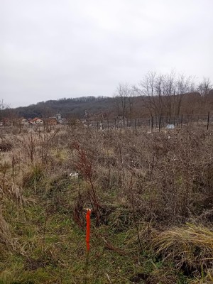 Teren intravilan 500 mp in Medias, zona Wewern, jud. Sibiu