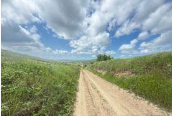 Cote indivize din teren extravilan agricol 8.000 m², Valea Teilor, județul Tulcea 6524897