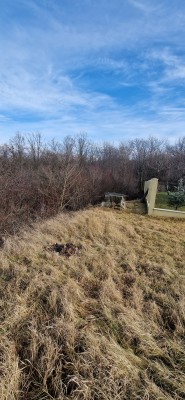 Teren in suprafata de 990 mp situat in comuna Bârnova din județul Iași