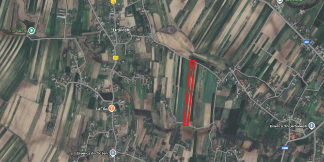 Teren extravilan 6000mp, comuna Suseni, judetul Arges-6065998