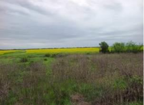 Teren extravilan arabil 4872mp, Uliesti, judetul Dambovita-5725494