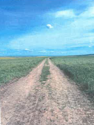 Teren extravilan – agricol, Loc.Murgeni, Județul Vaslui