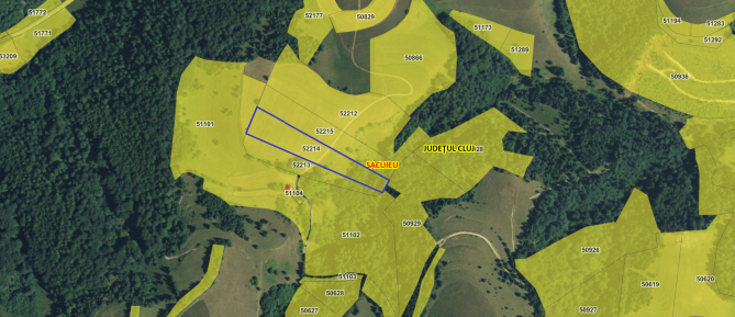 TEREN Extravilan 12.000 mp - Sacuieu, Jud. Cluj